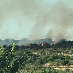 incendio zona Castel del Monte