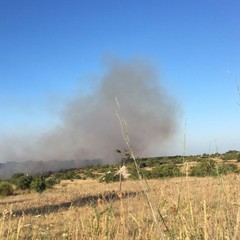 incendio zona Castel del Monte