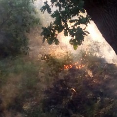 incendio contrada Abbondanza