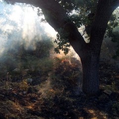 incendio contrada Abbondanza