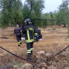 incidente sulla sp Andria Bisceglie