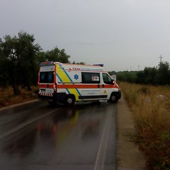 incidente sulla sp Andria Bisceglie