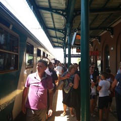 treno bianco dell'UNITALSI