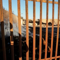 incendio domato deposito di pedane in legno in via Bisceglie