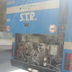 autobus della STP