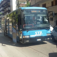 autobus della STP