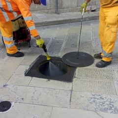 Interventi anti blatte nel centro storico