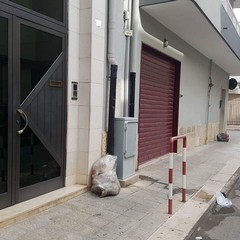 vie cittadine