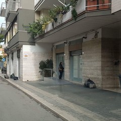 vie cittadine