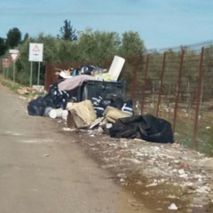 Rifiuti abbandonati in contrada Lama di Carro