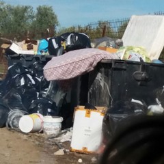 Rifiuti abbandonati in contrada Lama di Carro