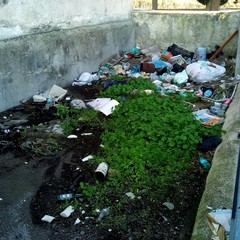 Incuria e degrado nell'area prospiciente il parcheggio del Cimitero