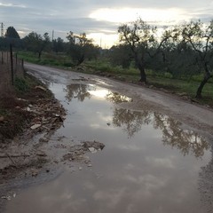 lavori di sistemazione per il "tratturo Belvedere"
