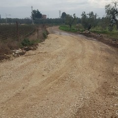 lavori di sistemazione per il "tratturo Belvedere"