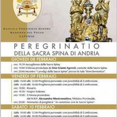 Peregrinatio della S. Spina a Capurso