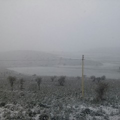 Neve ad Andria
