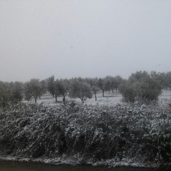 Neve ad Andria