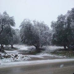 Neve ad Andria
