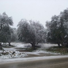 Neve ad Andria
