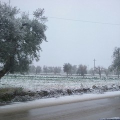 Neve ad Andria