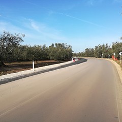 Riapre la provinciale Andria Bisceglie
