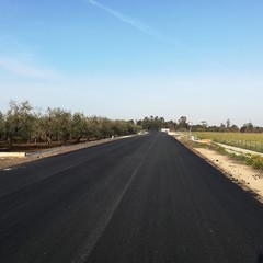 Riapre la provinciale Andria Bisceglie