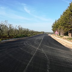 Riapre la provinciale Andria Bisceglie