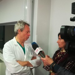 dr. Michele Barbara