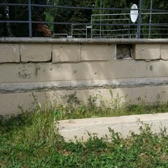 villa comunale, degrado ed incuria