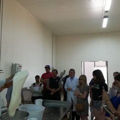 La Burrata I.G.P. di Andria conquista anche l'America