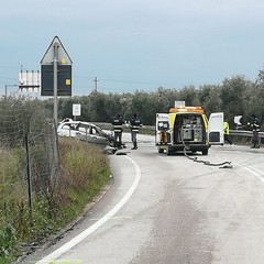 incidente stradale sull'Andria Bisceglie