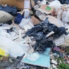 Scoperta discarica a Molfetta con rifiuti giunti da Andria e Canosa di P.