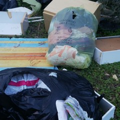 Scoperta discarica a Molfetta con rifiuti giunti da Andria e Canosa di P.