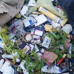 Scoperta discarica a Molfetta con rifiuti giunti da Andria e Canosa di P.