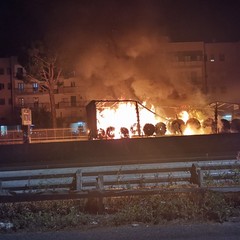 incidente sulla sp 231 tratto Corato Andria