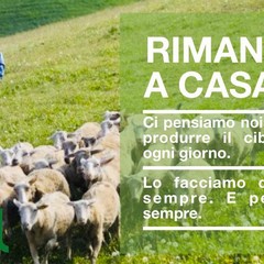 Rimani a casa