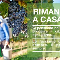 Rimani a casa
