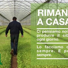 Rimani a casa