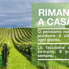 Rimani a casa