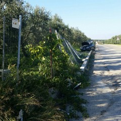 Incidente in via Vecchia Minervino