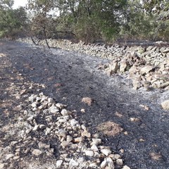 incendio zona Pandolfelli