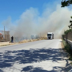 Incendi di sterpaglia su via Trani e via Bisceglie