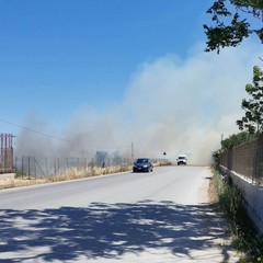 Incendi di sterpaglia su via Trani e via Bisceglie