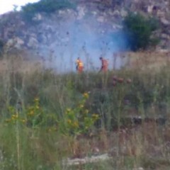 incendio Coleti