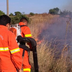 incendio Coleti