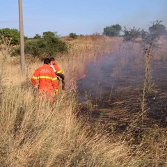 incendio Coleti