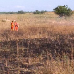 incendio Coleti