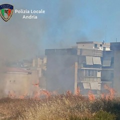 Incendio di sterpaglie