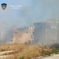 Incendio di sterpaglie