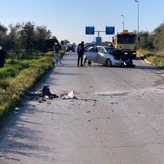 incidente stradale sulla provinciale Andria Bisceglie